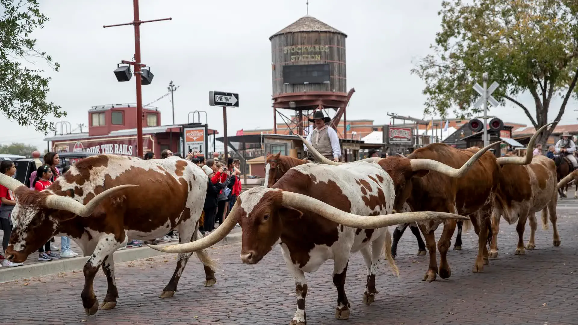 Fort Worth Stockyards