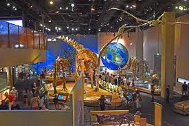 Perot Museum